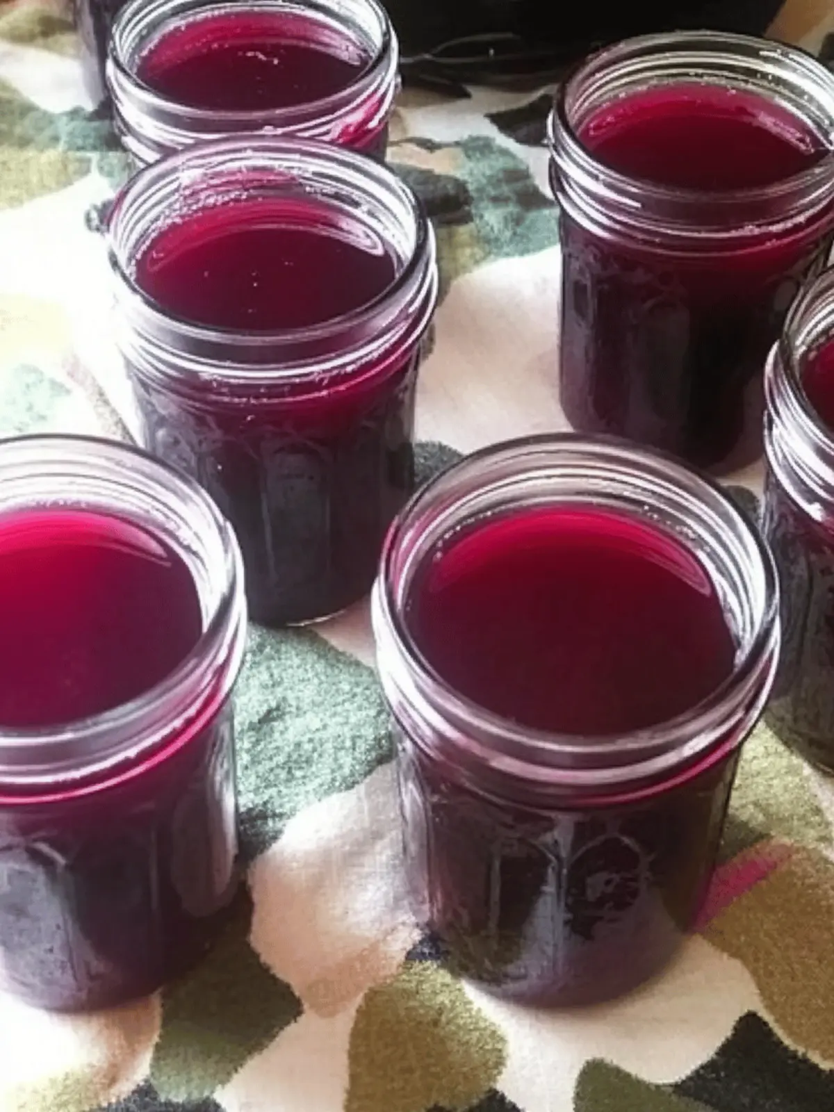 Prickly Pear Cactus Jelly: Sweet Homemade Desert Magic 4 Prickly Pear Cactus Jelly