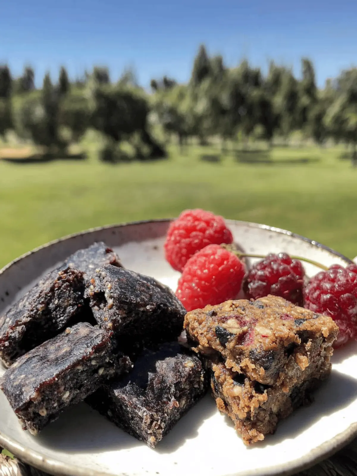 Pemmican With Fruit: Nourishing Energy for Your Adventures 4 Pemmican With Fruit